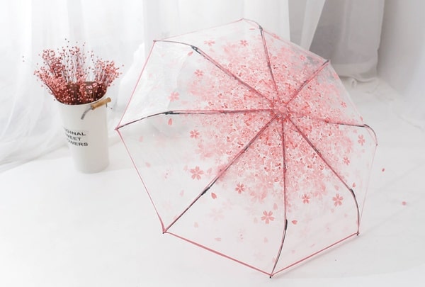 Прозрачный зонт, украшенный лепестками сакуры