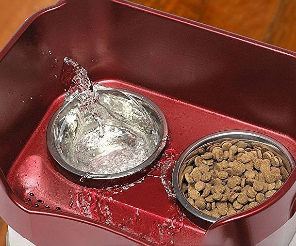 Самоочищающаяся подставка для мисок с собачьим кормом и водой Neater Feeder Deluxe