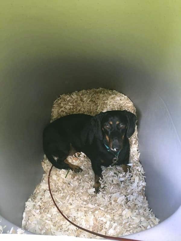 Подземная будка для собак DogEden
