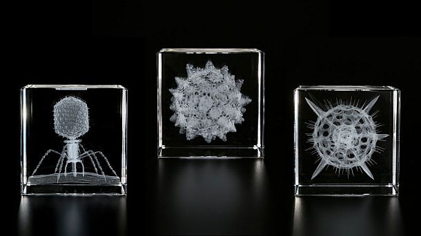 Стеклянные кубы с трехмерным лазерным изображением микроорганизмов Sola Cube Micro