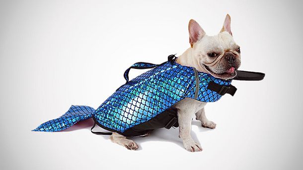 Спасательный жилет для собак в виде костюма русалки 