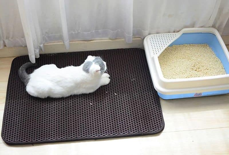 Пористый коврик для кошек