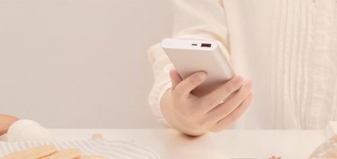 Внешний аккумулятор Xiaomi Mi Power Bank 2